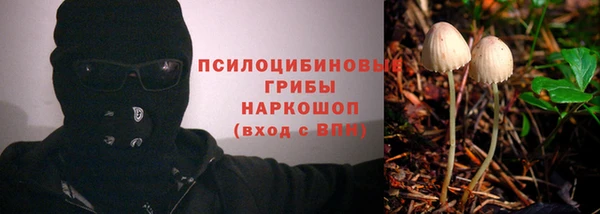 Альфа ПВП Алзамай