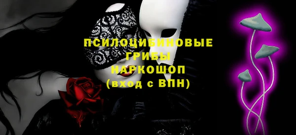 стаф Алексин
