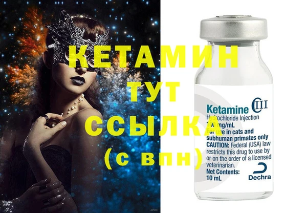 стаф Алексин