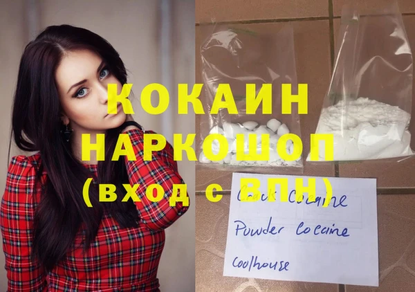 стаф Алексин