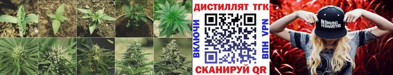 мега как зайти  Тихвин  ТГК концентрат 