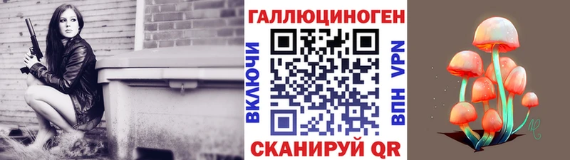 купить наркоту  Тихвин  Псилоцибиновые грибы Psilocybe 